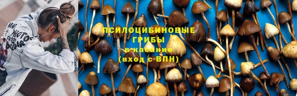 шишки Алексеевка